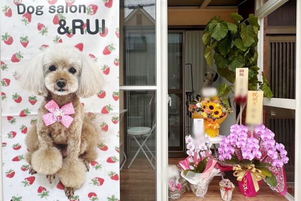 Dog salon &RUI