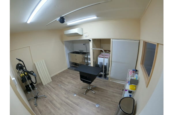 DOG SALON ANELA_1