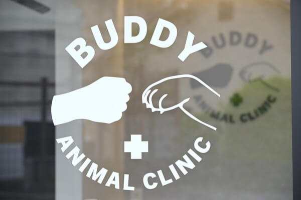 BUDDY動物病院_1