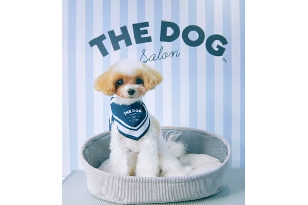 THE DOG Salon Trimming Wagon 軽井沢店