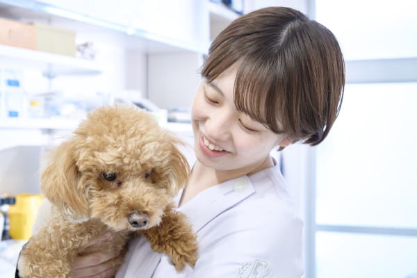スペシャリストホームドクター 上池台動物病院グループ 名古屋大須院_3