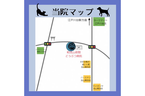 柏流山夜間どうぶつ病院_28