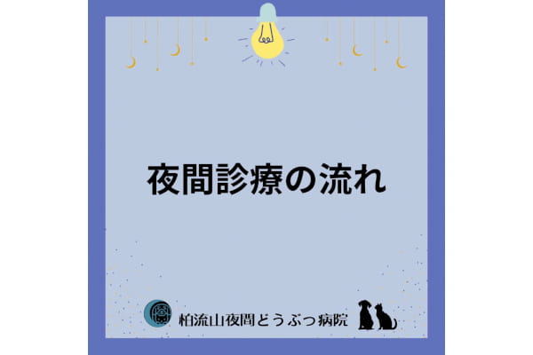 柏流山夜間どうぶつ病院_7