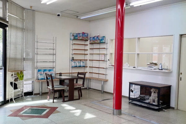 ペットショップCoCo 中島店_2