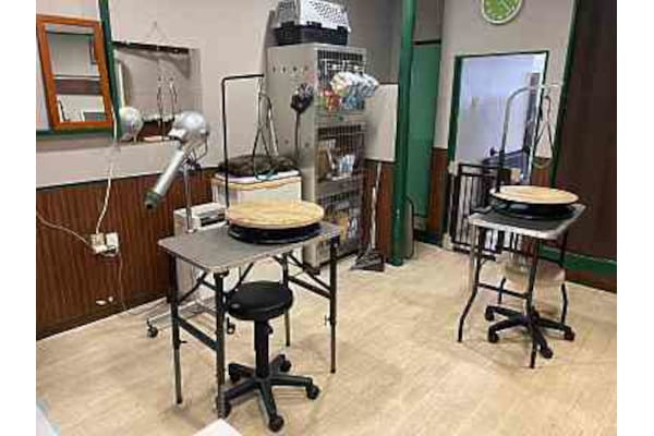 トリミングサロン トーリーメイト 柏店_1