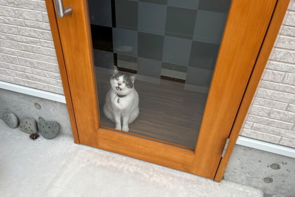 ペットサロン いぬいぬ_3