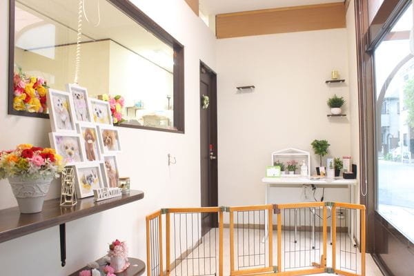 Dog Salon Aroma
