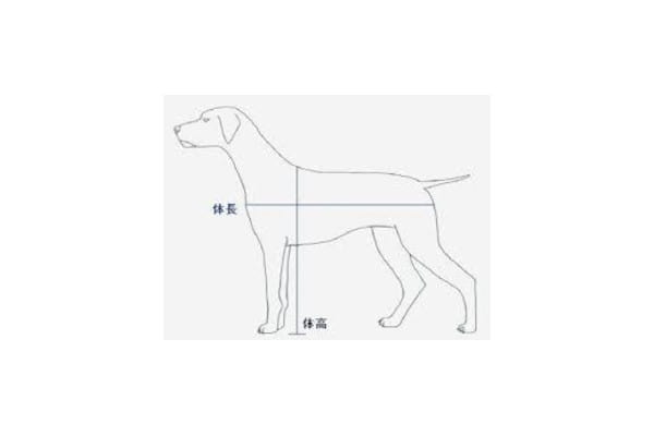 Dog Salon 本町1丁目