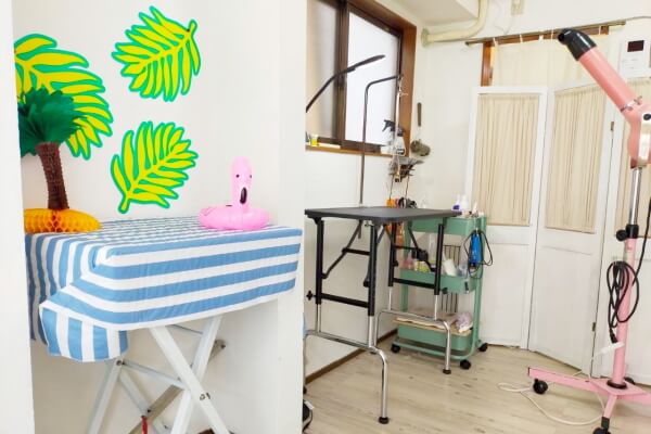 Dog Salon Moelleux_2