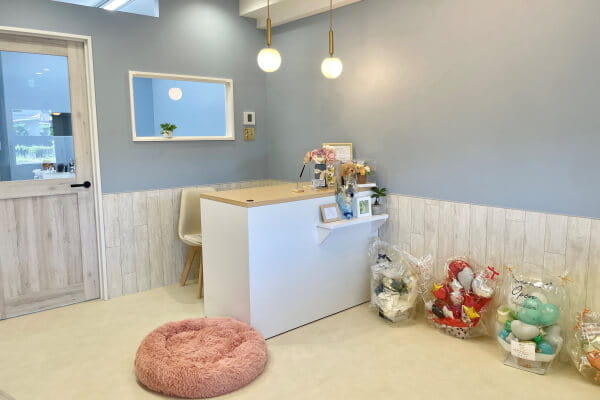 dogsalon maison_1