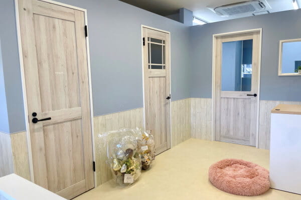 dogsalon maison_2