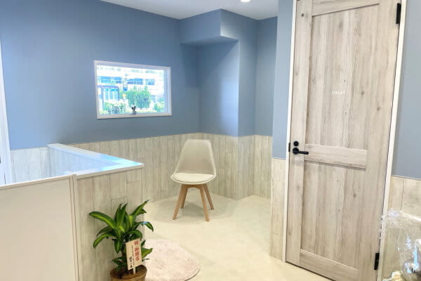 dogsalon maison