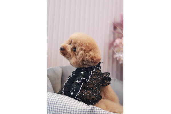 ＣＨＩＣ＆ＣＯ．_4