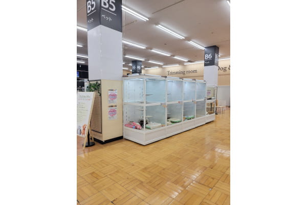 エバーペット柏店_2