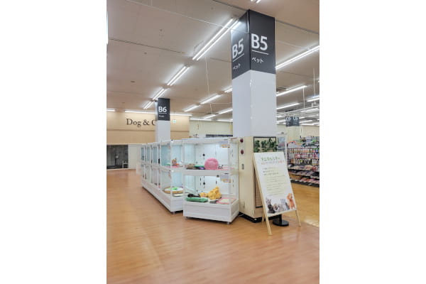 エバーペット柏店_3