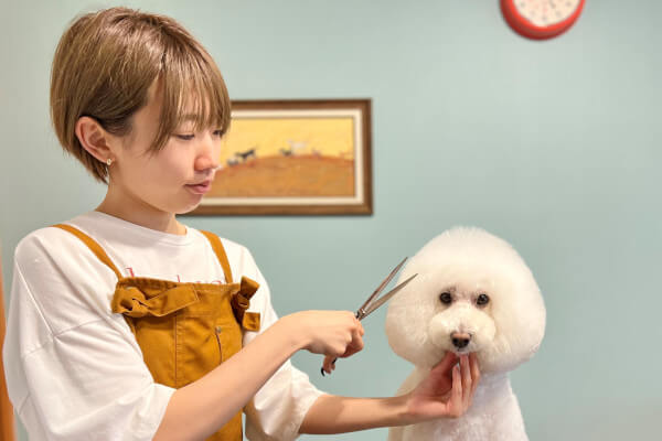 Dogsalon AR-SH_3