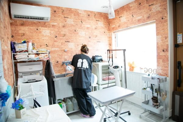 Pet salon One_3