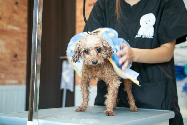 Pet salon One_4