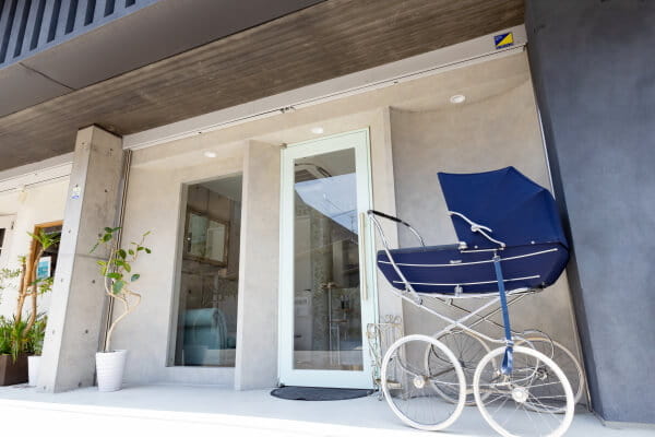 Luxury dog salon WanSta