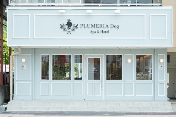 PLUMERIA Dog 中間店