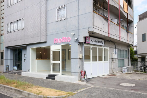 ドッグサロン momo_1
