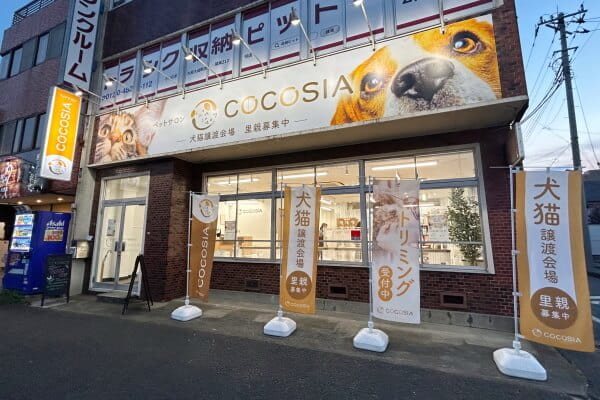 cocosia大宮店