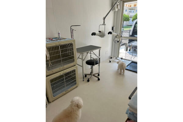 Dogsalon ALOHA_2