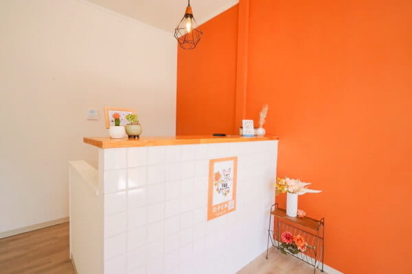 Dog salon FUU _2