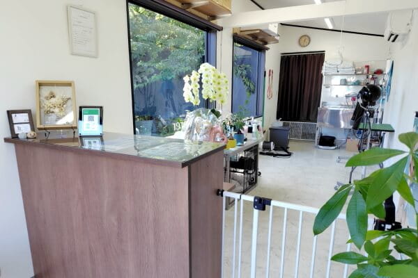 dogsalon Adorer_1