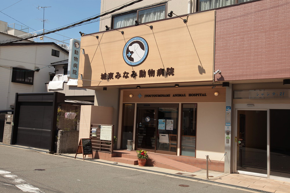 城東みなみ動物病院(トリミング)