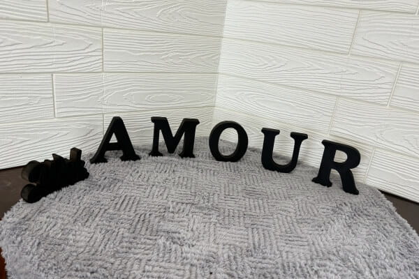 Dog Salon AMOUR _1