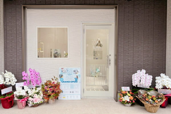 Dog Salon White