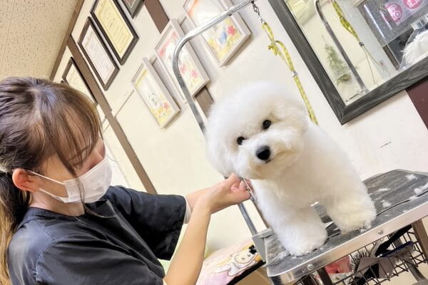 DOG.OASIS.コロン