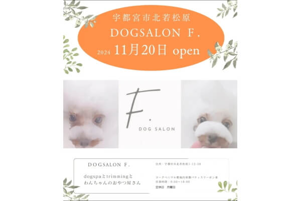 DOG SALON Ｆ._4