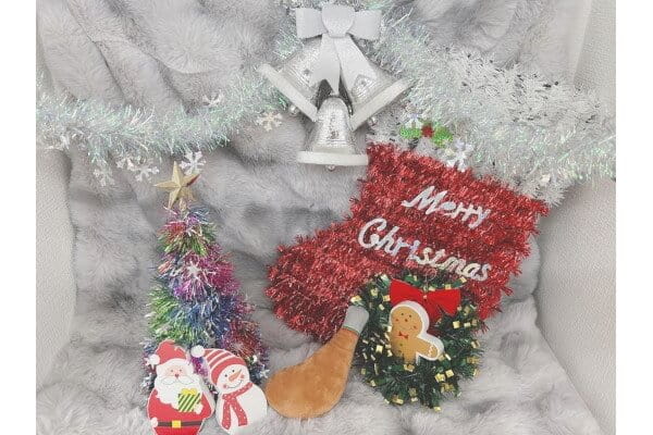 Dogsalon ARUN_3