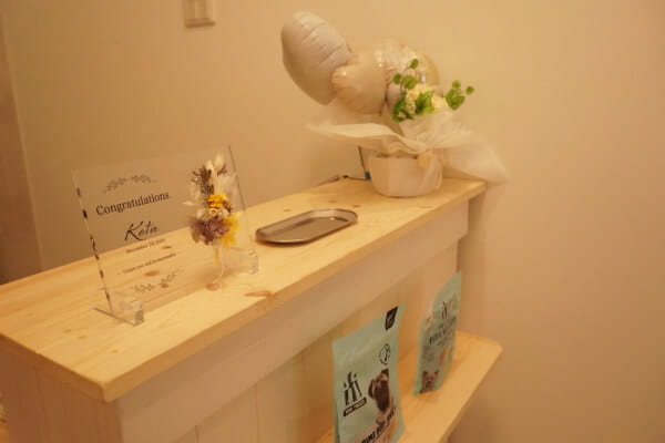 Dog salon Köta_4