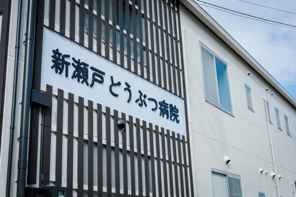 新瀬戸どうぶつ病院_13