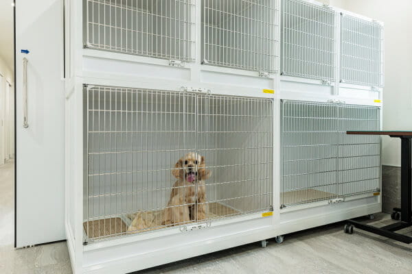 新瀬戸どうぶつ病院_7