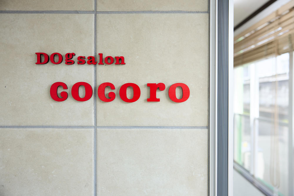 Dog Salon cocoro_3