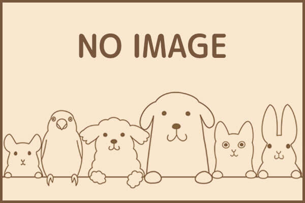 つきやま動物病院
