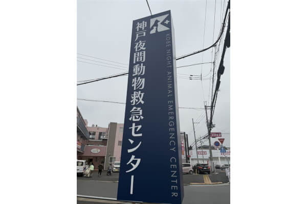 神戸夜間動物救急センター_3