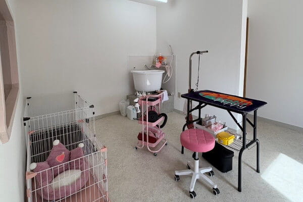 Dogsalon Tiara_3