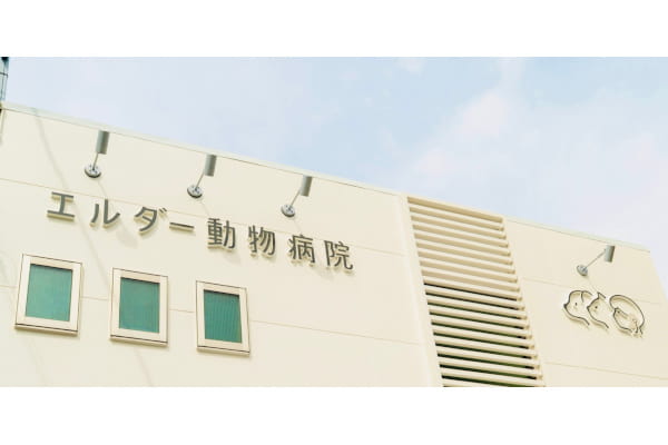 エルダー動物病院【2025年4月24日開院】_3