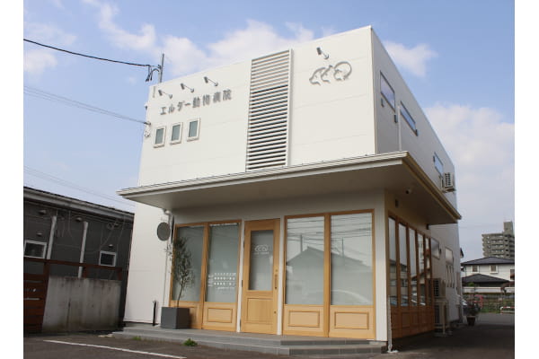 エルダー動物病院【2025年4月24日開院】_9