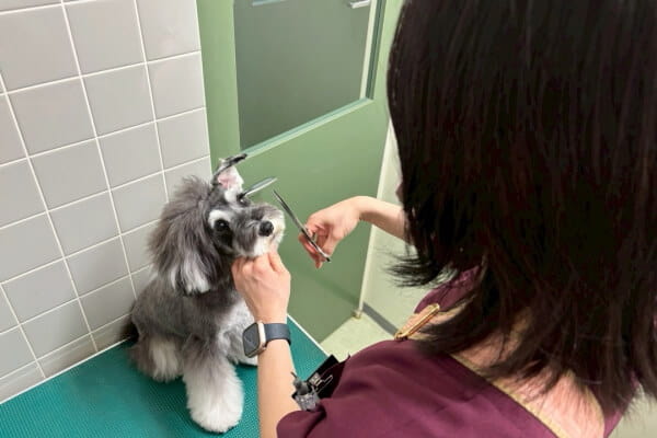 だん動物病院_2