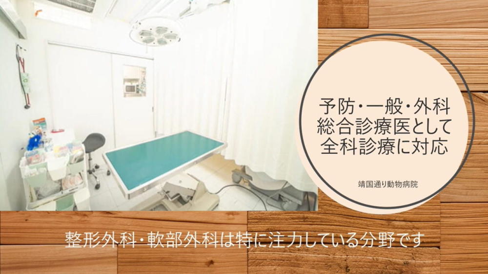 靖国通り動物病院 ?2025年5月11日開院?_1