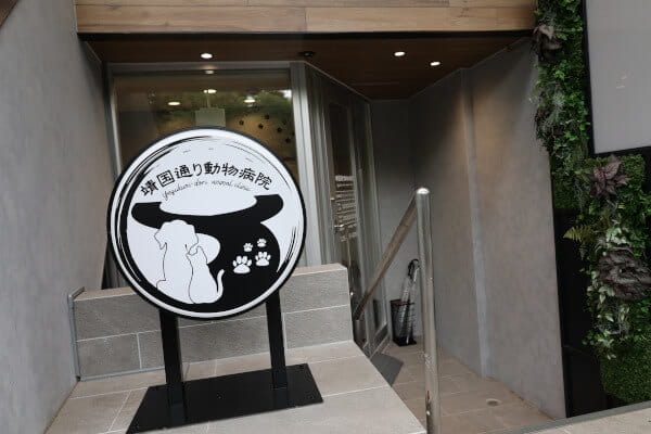 靖国通り動物病院 【2025年5月11日開院】_16