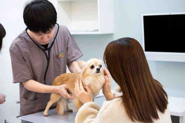 ボネールどうぶつ病院_12