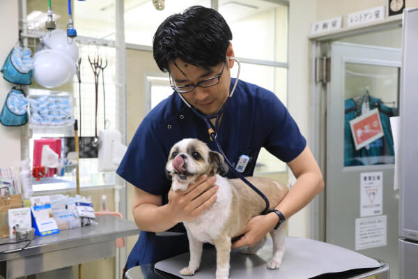 山口動物病院_11