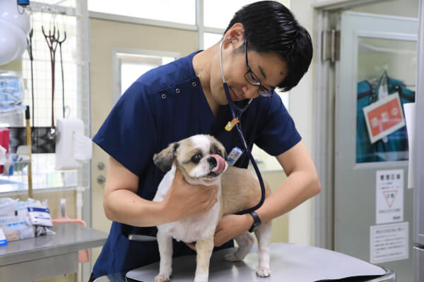 山口動物病院_12
